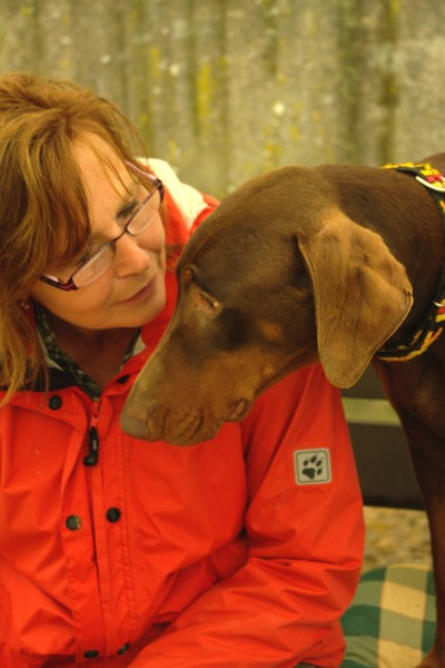 Dobermannhündin Donna