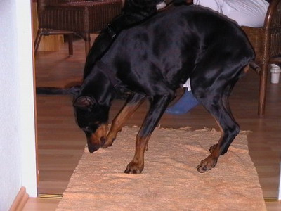 Cita