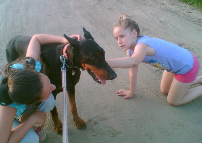 Dobermannhündin Samira