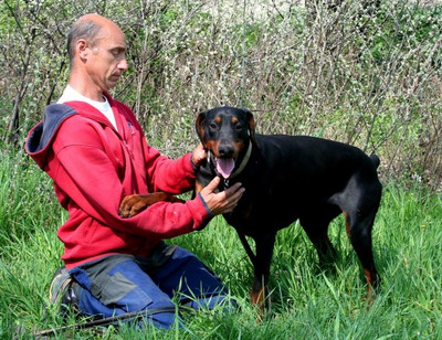 Dobermannrüde OSKAR