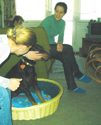 Dobermannhündin Joy