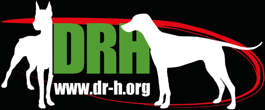 Dobermann-Rescue Hungaria Logo